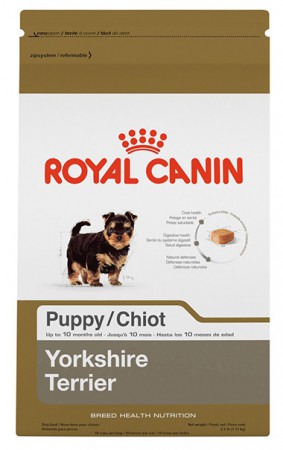 YORKY PUPPY 1.13KG