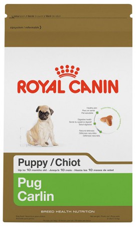 PUG PUPPY 1.13KG